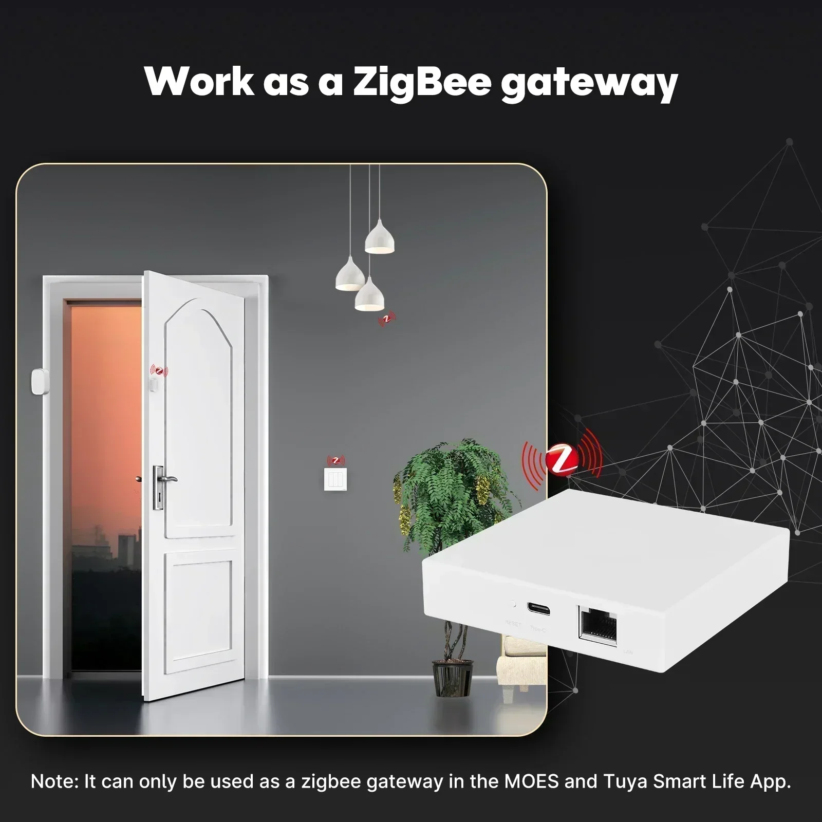 MOES Tuya Zigbee Matter Thread – Matter Hub Thread Bewertung und Preis